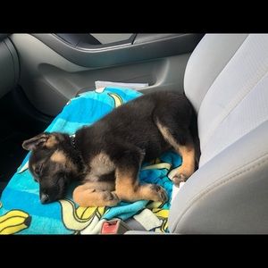 Meet your Posher, Casey